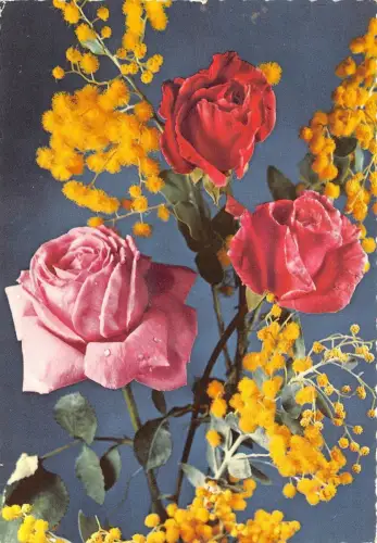 B52029 Fleurs Flowers