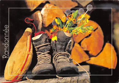 B51477 Fleurs Flowers Randonnee