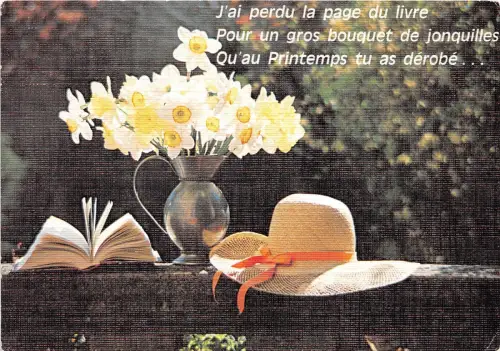 B50498 Blumen fleurs J`ai perdu la page du livre Pour un gros bouquet