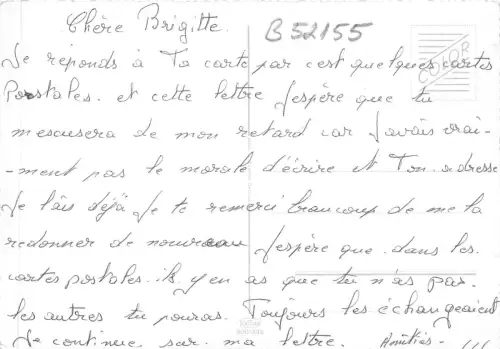 B52155 Blumen fleurs Rosen