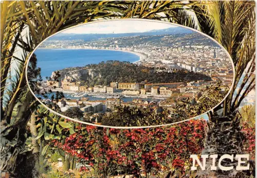 BR21910 Nice vue generale france