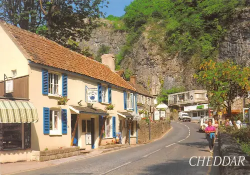 BT17907 cheddar village uk