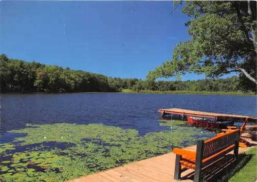 B54075 Fleurs Plants Arbress Schiffsbateaux