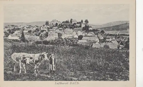 BF16569 luftkurort daun cow vaches germany front/back image