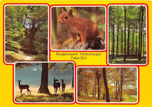 BG5407 Bungalowpark Hüttenheugte Dalen Dr Cerf Hirsch Eichhörnchen Niederlande