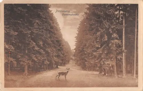 BR46907 Pirmasens Tannenschneise lieber Chavre Germany