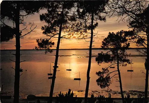 BR14072 La Nuit Pas a pas Monte au trone obscur Frankreich
