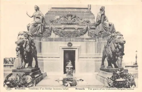 Br35104 Bruxelles Tombeau d un Soldat Inconnu Belge belgium