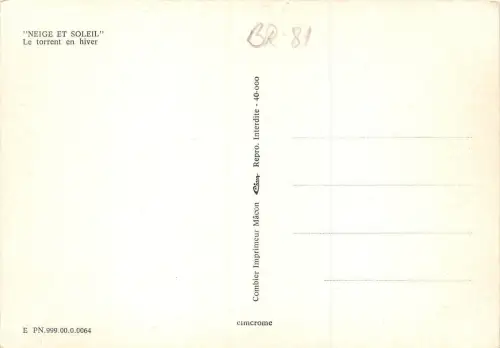 BR081 neige et Soleil le torrent en hiver Pflanze Laubenbaum Frankreich