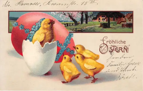BG20057 Küken im Ei Blume Ostern Ostern Germany