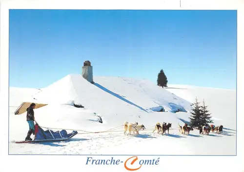 B51029 Franche Comte Husky Hunde Chiens Frankreich