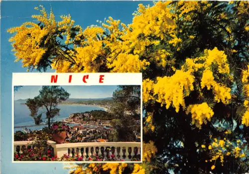 BR23110 Nizza Frankreich