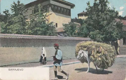 B78797 sarajevp Pferdetypen Bosnien Scan Vorder-/Rückbild