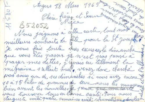 B52052 Fleurs Blumen Rosen