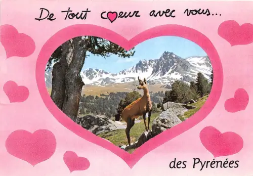 B50063 Les Pyrenäen Isard Frankreich