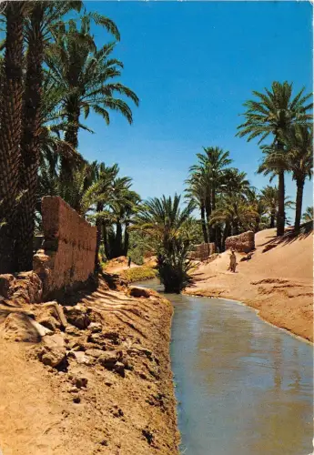 B67366 Maroc Zagora L'Oasis marocco