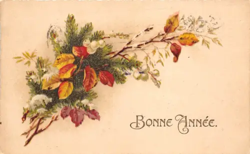 B39261 Nouvel anne Bonne Anne Happy new Year france