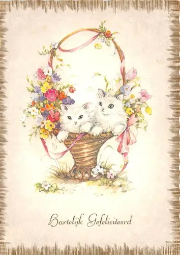 B43866 Chat Katze Tiere