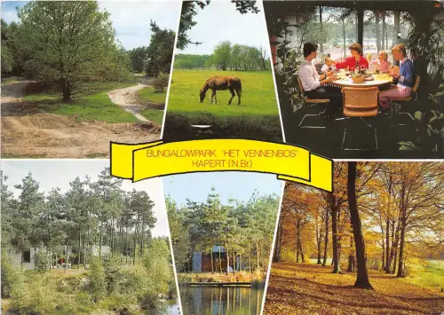 BG5370 bungalowpark het vennenbos hapert n br horse netherlands