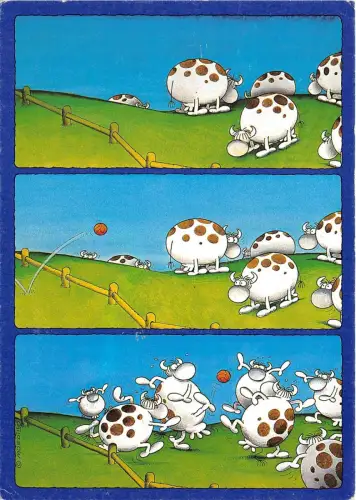 B44114 vache Kühe spielen mit Ball