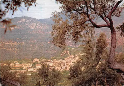 BR23458 Teneriffa Inseln Kanaren Spanien
