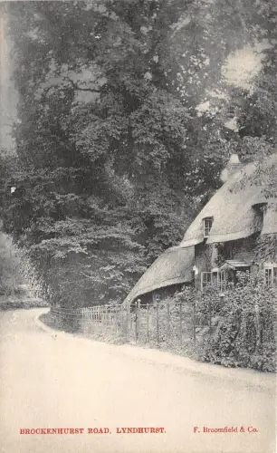 BR62078 brockenhurst road lyndhurst uk