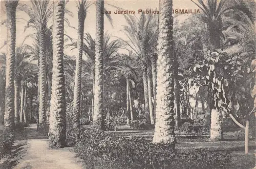 BF35755 les jardins public ismailia egypt front/back scan