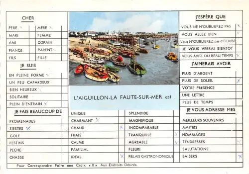 BR14376 L Aiguillon la faute sur mer france