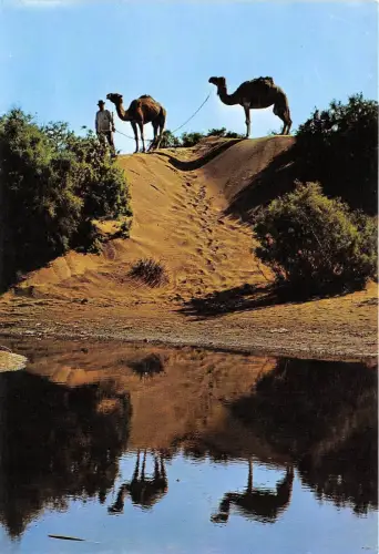 BG11825 maspalomas gran canaria escena tipica en las dunas camel spain