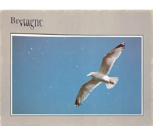 B51460 Bretagne Frankreich