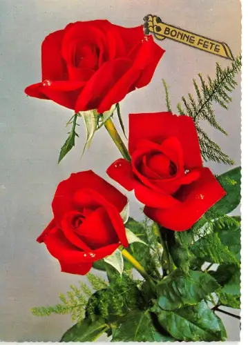 B52119 Blumen fleurs Rosen