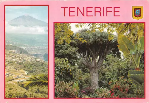 B53302 Teneriffa Multi Vues Spanien