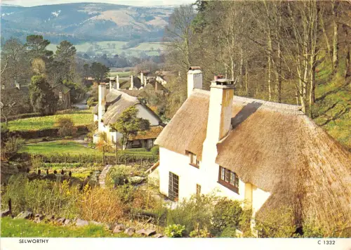 BT17848 selworthy uk