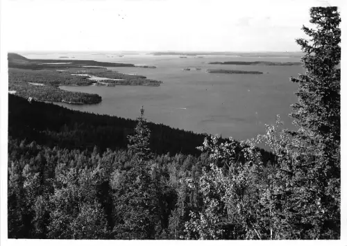 us7542 koli finnland echtfoto