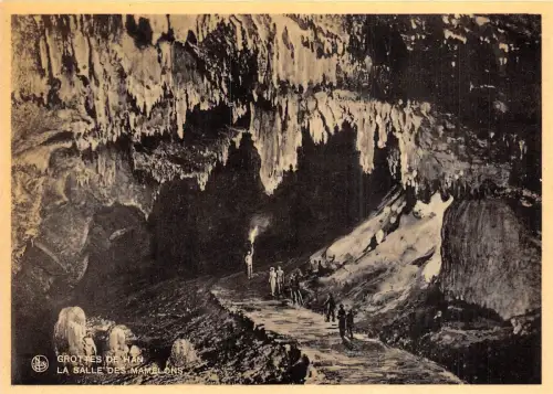 Br35977 grottes de han salle de mamelons