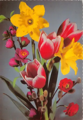 B52050 Fleurs Flowers