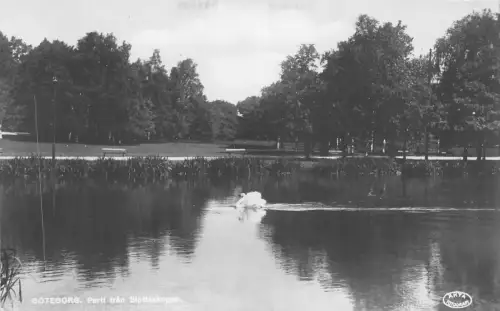 B93297 goteborg parti fran slottsskogen sweden