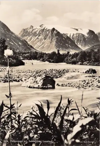 BR7878 vistasvagge och selmatjakko lappland sweden