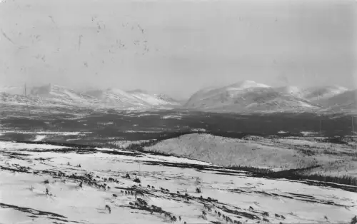 B95115 lundorrsfjallen fran ottfjallet v valadalen Echtfoto Schweden