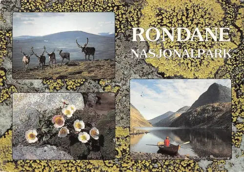 BT1320 rondane nasjonalpark norway