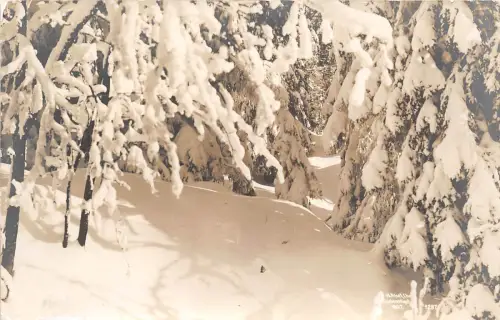 B71369 H Albel Chr Eneberrettight Norge Winterlandschaft Norge Norwegen