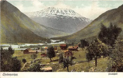 B65231 Norwegen Thelemarken Panorama