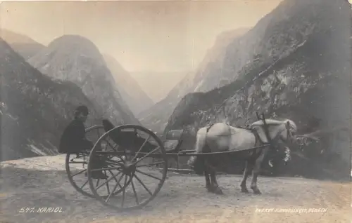 B58192 Norge Norway Kariol