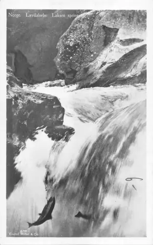 BR45794 norge laerdalselv norway