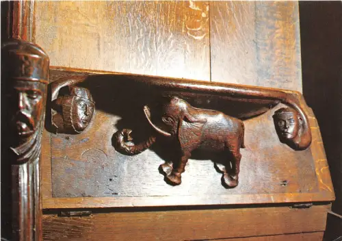 BT17904 Kathedrale Elefant Exeter UK