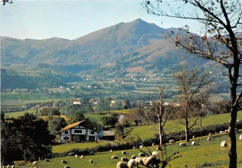 BR8673 Sare Un merveilleux Umgebung Schafmoutons Frankreich