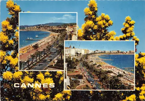 BR14745 Cannes Frankreich