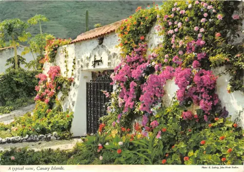 BR14343 Kanarische Inseln Die Einreise in einen Landresidenz Spanien