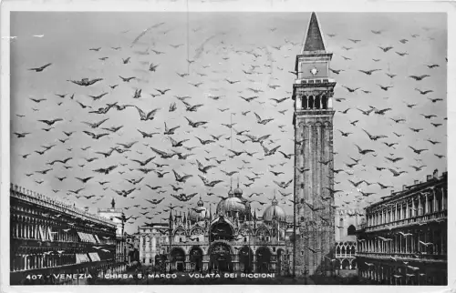 BR32840 Venezia Chiesta s. MArco volata dei piccioni italy