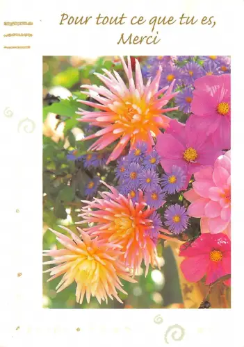 B52128 Blumen fleurs